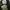 Puma Sportswear Brogue Pria white black photo 6