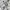 Adidas Streetwear Windbreaker Pria white photo 6