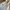 Adidas Streetwear Windbreaker Pria white photo 4