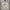 Streetwear Y2K Sweatshirt Pria white khaki photo 1