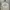 Streetwear Y2K Sweatshirt Pria White Khaki