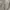 Carhartt Y2K Luxury Sweatshirt Pria gray photo 4