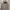 Carhartt Y2K Luxury Sweatshirt Pria gray photo 3