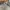 Carhartt Y2K Luxury Sweatshirt Pria gray photo 6