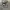 Carhartt Y2K Luxury Sweatshirt Pria gray photo 2