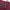 ZARA Minimalist Casual Sweater Pria burgundy photo 4