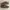Clarks Luxury Minimalist Loafer Pria brown photo 2