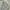 Nike Vintage Sportswear Jersey Pria white gray photo 5