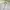 Nike Vintage Sportswear Jersey Pria white gray photo 6
