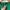 oversized polo by ralph lauren emerald photo 4