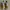 VANS Y2K Skater Sneakers Pria white yellow photo 2