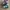 Nike Streetwear Sportswear Sneakers Pria green pink photo 1