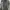 Casual Track jacket Pria black photo 2