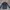 Levi's Y2K Skater Denim jacket Pria white black photo 1