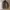Japanese brand Casual Pea coat Pria green photo 1