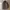 Japanese Brand Casual Pea Coat Pria Green