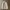 Spao Vintage Denim jacket Pria white cream photo 1