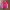 Yonex Sportswear Jersey Pria pink photo 1
