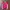 Yonex Sportswear Jersey Pria Pink