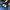 Streetwear Casual Windbreaker Pria navy black photo 4
