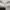 Champion Casual Sweatshirt Pria gray photo 4