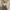 Vintage Casual Parka Wanita cream photo 6