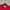 Hai Sporting Gear Vintage Sweatshirt Pria red photo 4