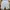 VANS Y2K Jeans Pria multicolor white photo 3