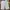 VANS Y2K Jeans Pria multicolor white photo 2