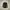 Adidas Sportswear Jersey Pria black photo 1