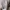 3d fluffy bear grey sweater a photo 6