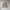3d fluffy bear grey sweater a photo 2