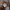 3d fluffy bear grey sweater a photo 5