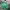 Dickies Gorpcore Suit Pria green photo 1