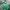 Dickies Gorpcore Suit Pria Green