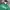 Dickies Gorpcore Suit Pria Green
