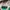 Dickies Gorpcore Suit Pria green photo 3