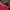 Japanese brand Y2K Sportswear Windbreaker Pria white red photo 3