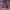 Japanese brand Y2K Sportswear Windbreaker Pria white red photo 8