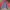 Canterbury Gorpcore Sportswear Puffer jacket Pria red photo 3