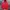 Pancoat Gorpcore Casual Suit Pria Red