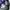 Uniqlo Biker Minimalist Jeans Pria navy blue photo 4