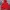 NEPA Streetwear Gorpcore Suit Pria Red