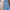 Coach Casual Sweatshirt Wanita blue photo 6