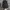JanSport Gorpcore Futurist Bag Pria white black photo 5