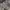 JanSport Gorpcore Futurist Bag Pria white black photo 1