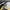 JanSport Gorpcore Futurist Bag Pria white black photo 3