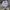 JanSport Gorpcore Cosplay Bag Pria white blue photo 1