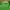 Bottega Veneta Casual Sweatshirt Wanita green photo 2