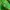 Bottega Veneta Casual Sweatshirt Wanita green photo 5